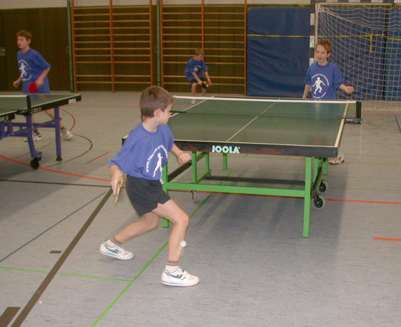 Copyright: Tischer Tischtennis Stuttgart